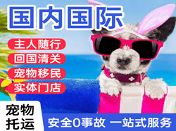 集宁空运代理国际宠物托运 【国